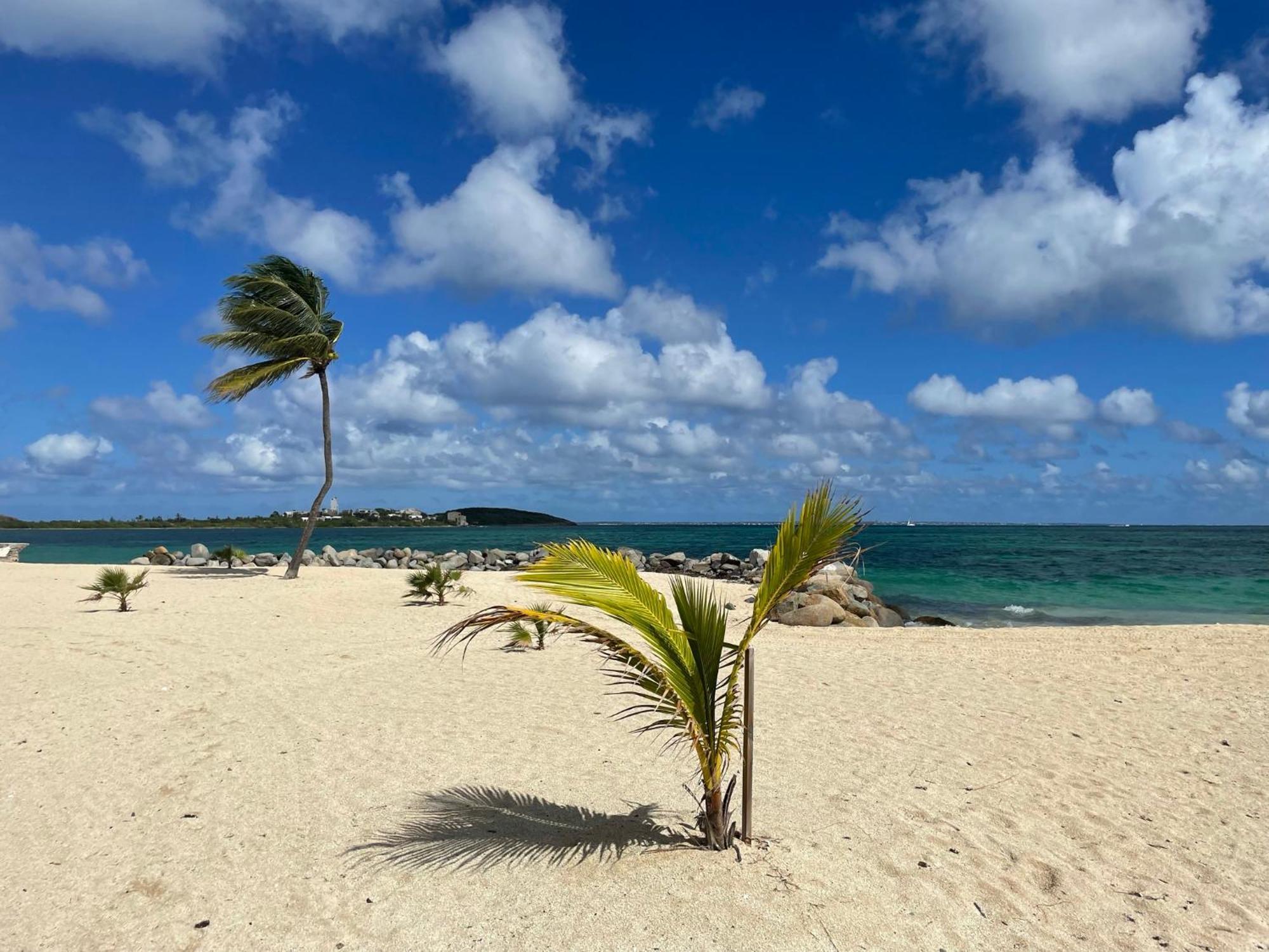 Shell Beach - Magnifique Loft Sur La Plage Baie Nettle Exterior foto